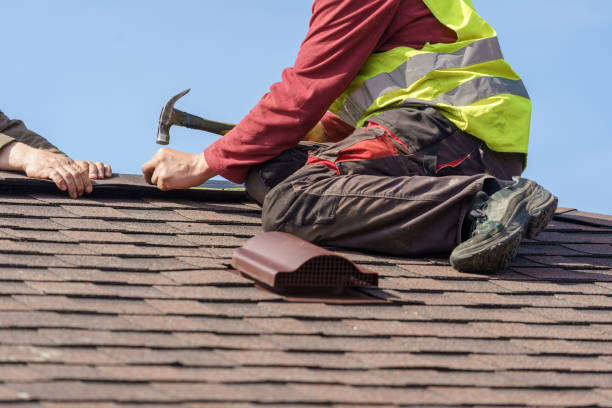 Best Roof Gutter Cleaning  in Honsville, GA